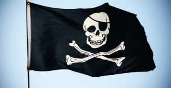 Bandeira do Seguro Pirata 348x180